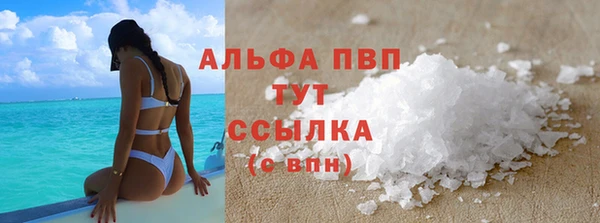 тгк Магас