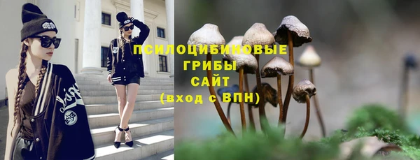 тгк Магас