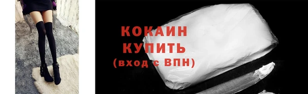 тгк Магас