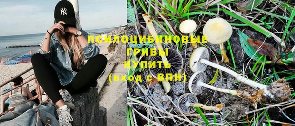 гашик Медногорск